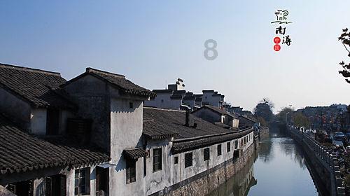 营救小乌龟